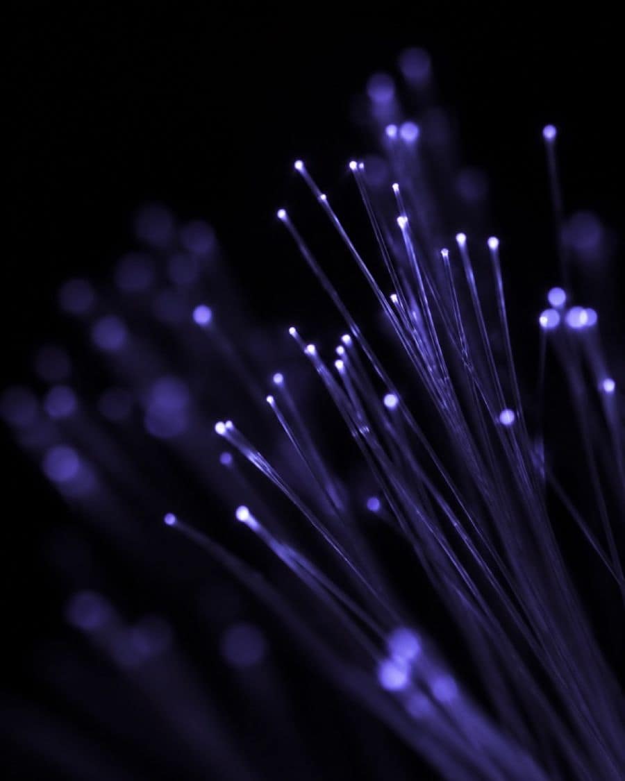 Fibre ottiche illuminate di viola su fondo nero